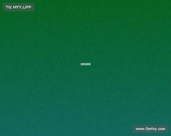 石家庄进决赛圈